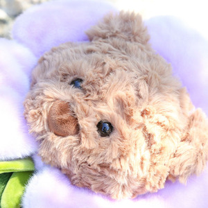 Wholesale <b>Cute</b> Kawaii Flower Teddy <b>Bear</b> Plush Animal Gifts Customizable Soft Infant Toys Teddy <b>Bear</b> Plush Toys - Product Image 4