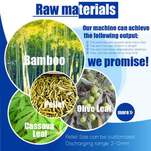 Ricyi เครื่องผลิตเม็ดมะกอก1-2 t/h สำหรับติดตั้งฟรี - Product Image 2