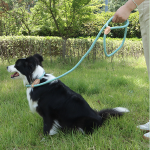 Correa de cuerda con conexión de cuero genuino para perros medianos y grandes Correa de perro sólida y fuerte retráctil - Product Image 2