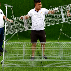 Marchés avicoles du Kenya, <span class=keywords><strong>cage</strong></span> de capacité 160 oiseaux, <span class=keywords><strong>cage</strong></span> à poules pondeuses <span class=keywords><strong>d</strong></span>'<span class=keywords><strong>occasion</strong></span> pour 5000 oiseaux, petites exploitations - Product Image 3