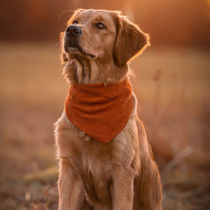 Fábrica al por mayor de lujo personalizado perro diademas Bandana bordada con logotipo - Product Image 2