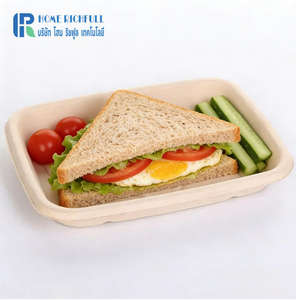 Plato Cuadrado Biodegradable de Bagazo de Caña de Azúcar Ecológico, 750 ml, 1500 ml, 2500 ml, Plato Desechable Biodegradable de Bagazo - Product Image 5