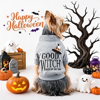 Nouvelle arrivée : adorable sweat-shirt en polyester pour petits chiens et chats, costume de sorcière pour Halloween, idéal pour les fêtes et les séances photo.