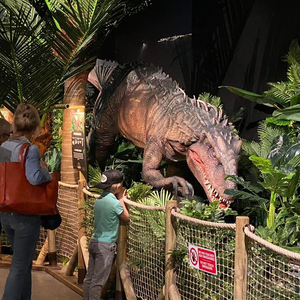 Fornitore Professionale di Dinosauri Animatronici per Mini <span class=keywords><strong>World</strong></span> Lyon, Tirannosauro Rex Animatronico - Product Image 3