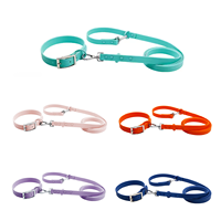 Ensemble collier et laisse pour chien en PVC imperméable, souple et réglable, pour accessoires colorés pour la promenade, personnalisable avec breloques