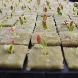 Cubo agricolo in lana di roccia per terreni di coltivazione per piante agricole