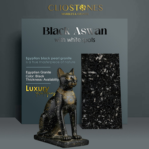 Granito de Asuán negro de diseño moderno con acabado superficial pulido de manchas blancas para uso en villas - Product Image 3