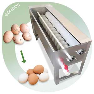 Pequeña máquina automática limpiadora de cepillos, equipo mini lavador de conchas, máquina para limpiar y clasificar huevos - Product Image 1