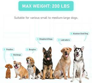 <span class=keywords><strong>Piscina</strong></span> <span class=keywords><strong>Escaleras</strong></span> <span class=keywords><strong>Perro</strong></span> - Product Image 4