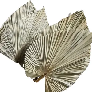 QSLH-VF219 Wedding Decorative Real Dried Flowers Mini Leaves Dried Palm Spear For Decor