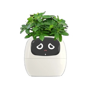 Macetas Inteligentes con IA Digital, Recargables por USB, de Alta Calidad, para Interiores, con Absorción de Agua, para Personas con Poco Tiempo, Ecológicas - Product Image 3