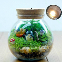 Lampe LED en bois massif poli pour boîte à piles, éclairage de croissance pour micro-paysages de bureau, lumière ornementale en matériau naturel pour vase