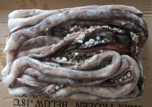 X256 mực xúc tu nhà sản xuất dosidicus gigas đông lạnh khổng lồ mực dài tình dục xúc tu 80 + cm - Product Image 3