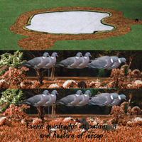Decoy per Piccioni in Plastica PP Personalizzato Anti-Riflesso, Impermeabile, Realistico, a Forma di Silhouette per la Caccia