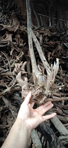 15-35cm Natural Bonsai Cuco Raiz Deriva Ramos De Madeira Do Aquário Roost Aquário Decorativo Deriva Madeira Aquascape - Product Image 5