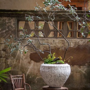 Pots <span class=keywords><strong>de</strong></span> fleurs en fibre <span class=keywords><strong>de</strong></span> verre décoratifs d'intérieur et d'extérieur pour décoration <span class=keywords><strong>de</strong></span> jardin, Grandi Vasi Per Piante - Product Image 3