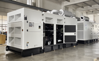 Générateur diesel conteneurisé sur mesure 1000 kW 1250 kVA, type silencieux et fermé, 50 Hz 60 Hz, triphasé, moteur CCEC, 400 V pour l'exploitation minière et les centres de données