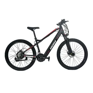 Lithium Battery E-Bike Mountain Cross-Country Influence Work Riding 26 Inch City Ebike