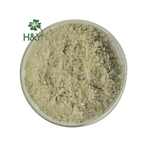 Factory-Direct Supply of Graviola Fruit Powder & Extract 10:1 & 20:1 Concentration Ratios Pure Graviola Extract Powder