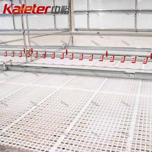 Rejilla de Plástico para Pisos de Gallineros, para Cría de Gallinas Ponedoras y Pollos de Engorde, Rejilla Elevada para Aves de Corral - Product Image 2