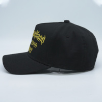 Gorras de Béisbol Personalizadas con Logo Bordado en Relieve, de Algodón de 5 Paneles, Estructura en K, Bicolor, Lisas, Estilo Snapback, para Deportes y Golf, para Hombre