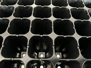Thickened Flexible Fold-resistant <strong>PVC</strong> Seedling <strong>Tray</strong>, for Mass <strong>Flower</strong> Seedling Propagation. - Product Image 3