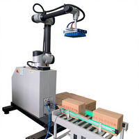 Robot de Paletización Colaborativo para Alimentos y Bebidas, Productos Químicos y Almacenamiento de Comercio Electrónico, Cajas, Botellas y Cartones de 15 kg a 50 kg