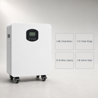 Batterie au lithium sur pied 51.2V 314Ah 16kWh pour système solaire domestique avec RS485 CAN BMS – Vente en gros