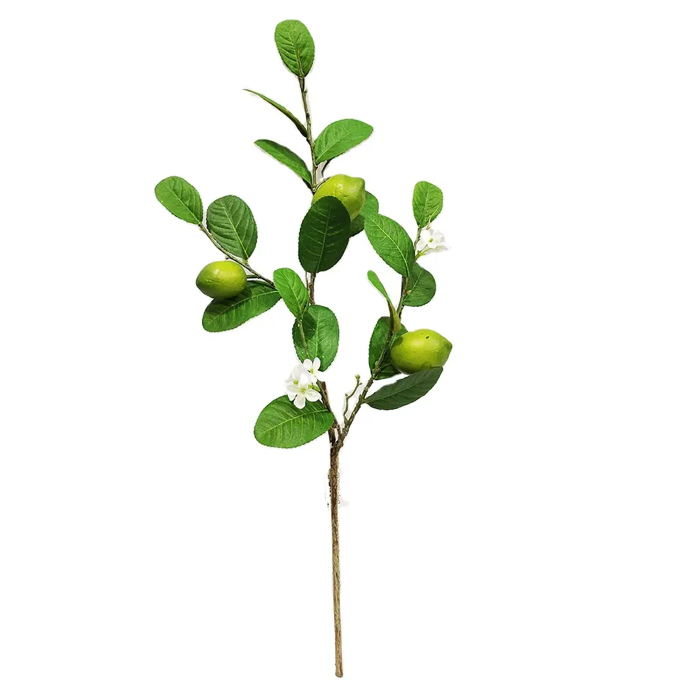 גובה איכות מלאכותי לימון פירות סניפי גזע ירק עלים לימון זר & לימון זר