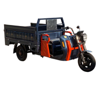 Triciclo de Carga Eléctrico Personalizado de Tres Ruedas con Carrocería Abierta, Motor sin Escobillas, Frenos de Disco Delanteros/Freno de Tambor Trasero, Capacidad de Carga de 100-200 kg, Alcance de 90 km
