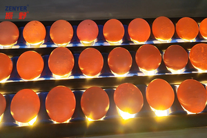 ZENYER 202A小型スケール10000容量卵洗浄機消毒洗浄新技術卵加工 - Product Image 2