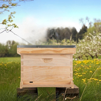 Einlagige Holz-Langstroth-Bienenstöcke für Imker Tiefe oder Mittlere Super-Bienenstockboxen