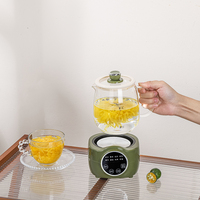 Bouilloire Électrique Intelligente en Verre Borosilicate avec Contrôle Numérique de la Température, pour Thé, Ragoûts et Desserts