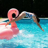 Nouveau Flotteur de Piscine Gonflable en PVC Épaissi Flamant Rose, Accessoire Photo Flottant pour la Plage, Décoration de Fête en Piscine, Modèle IPF-3