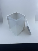 Boîte cadeau transparente en PET pour gâteaux avec panneau arrière en carton blanc, boîte d'emballage transparente de qualité alimentaire pour pâtisseries, vente en gros
