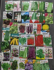 <span class=keywords><strong>Semoir</strong></span> à légumes de haute qualité, poussé à la main, directement de l'usine, pour la plantation agricole multifonctionnelle de petites graines - Product Image 3