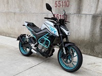 Motocicleta Usada NK250 de 250cc, Gasolina, Estilo Naked, Buen Estado, Bajo Kilometraje, para Desplazamientos Urbanos y Conducción Deportiva, >180km/h, Jiangsu Global