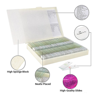 Medical Science Prepared Biology Slides Botany Microscope Slides