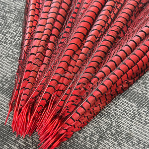 100-110 cm Rouge Lady Amherst Faisan <span class=keywords><strong>Plume</strong></span> Plumes Teints pour Mariage Carnaval Danse Performance Costumes Vêtements Décoration - Product Image 4