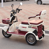 Tricycle électrique certifié CEE 1000W à 3 roues, 2 places, capacité de charge 300 kg, autonomie 50-70 km, scooter de mobilité pour adultes