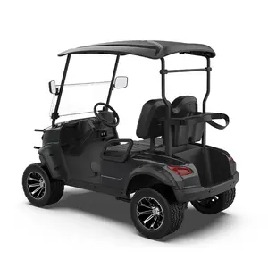 Newest Design Advanced 2 Seater ODM Electric Golf Cars