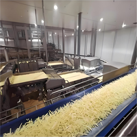 Automatische Franse aardappelchips friteuse machine roestvrij staal hoge efficiëntie laag geluidsniveau productielijn