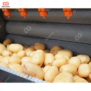 Ligne de production complète de frites surgelées entièrement automatique, chauffage au gaz, production de frites coupées brutes, 300 kg par heure - Product Image 5