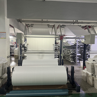 Fabricant chinois de sac de ciment de sable de gravier blanc 25kg 50kg sacs d'agriculture tissés en PP de haute qualité