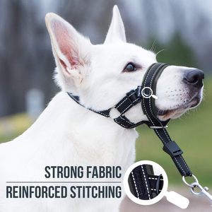 طوق الرأس المطلي بالنايلون على شكل 8، طوق رأس الكلب على شكل لعبة كلب Greyhound مع حزام أمان - Product Image 4