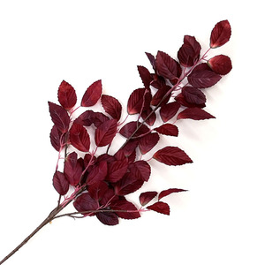 Plante Artificielle Haut de Gamme : <span class=keywords><strong>Branche</strong></span> de Hêtre Décorative – Prix Usine, Offre Spéciale pour Jardin, Hôtel, Maison, Bureau, Vase – Faux Hêtre Décoratif - Product Image 2