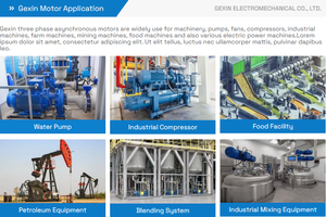 Gexin มอเตอร์เบรก15KW YEJ-160M2-2กระแสสลับสามเฟสแบบอะซิงโครนัส100% สายทองแดงป้องกัน IP55ประสิทธิภาพ IE3 - Product Image 3