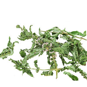 Bulk High Quality Natural Dried Herbs <strong>Tea</strong> <strong>Spearmint</strong> Leaves <strong>Spearmint</strong> Leaf <strong>Tea</strong> - Product Image 5