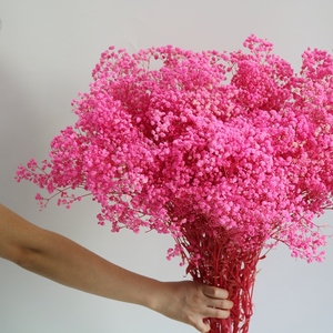 Khô hoa bảo quản bé của hơi thở hoa tự nhiên Gypsophila chi nhánh cho trang trí nội thất bên trang trí đám cưới - Product Image 1
