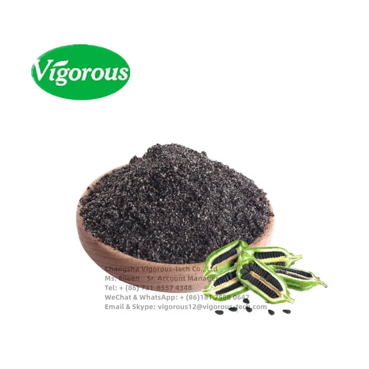 Chinese Free Sample Pure Natural No Sugar Low Temp Roasted Halal Non-GMO Best Organic Black Sesame Seed Powder